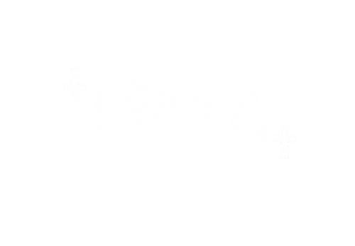 Dinia Culture